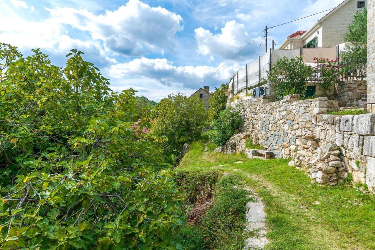 Villa Holiday Home Zvecanje 外观 照片